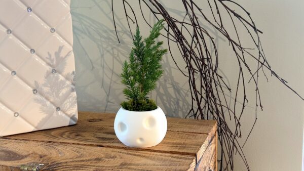 Kodama Kerra Planter