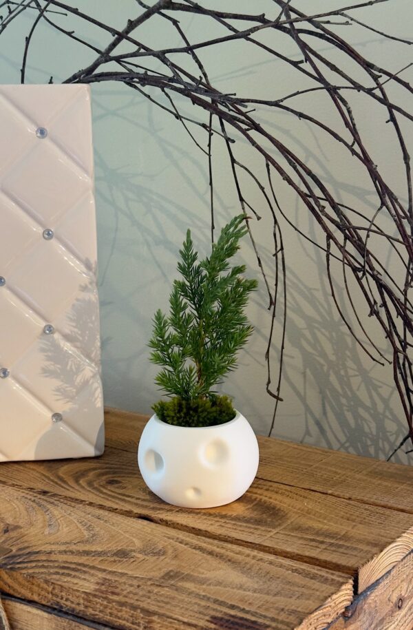 Kodama Kerra Planter - DSDesign