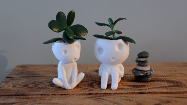 Sitting Kodama Planters Bundle