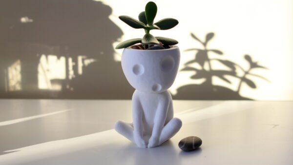 Kodama Planter