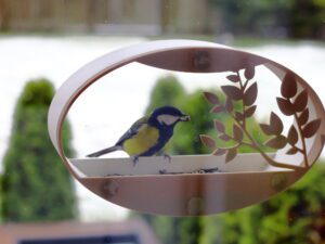 Window Bird Feeder Oasis Leaf