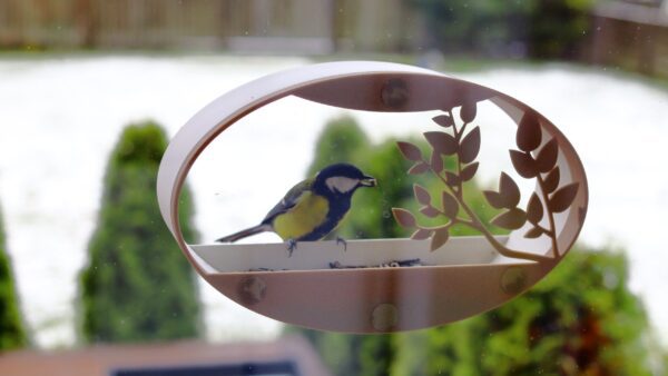 Bird perched on decorative feeder.